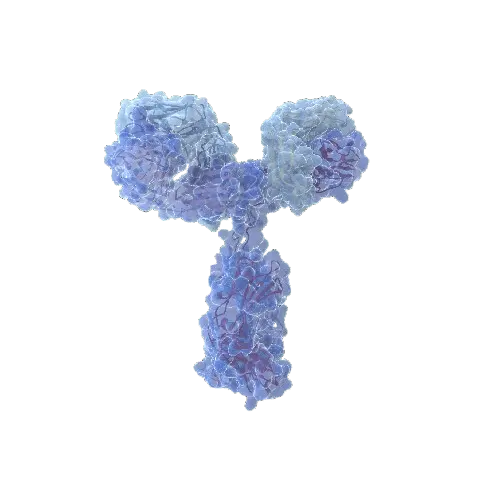 Human/Mouse Hyaluronan synthase 2 Antibody Pair - BSA and Azide free
