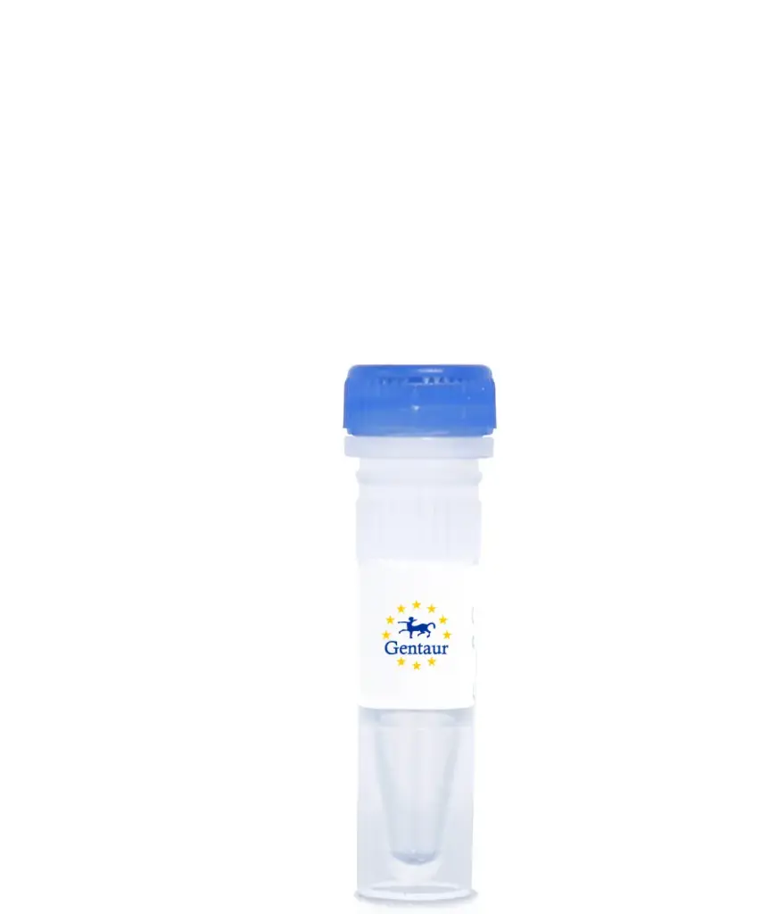[DA-CAS-282] Dtl CRISPR/Cas9 KO Plasmid (m)