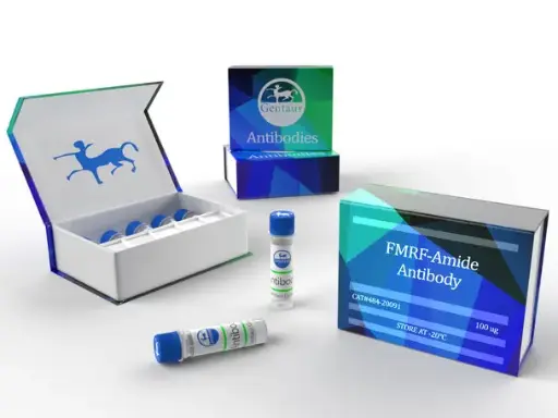 [A3003-5] MDV3100 (Enzalutamide) - 5mg