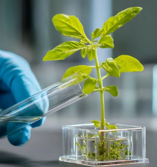 Agricultural RNA Hub